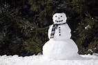 ¿Cuál fue el primer muñeco de nieve que se realizó en la historia ...