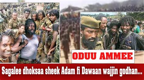 Oduu Ammee Sagalee Dhoksaa Sheek Adam Fi Dawaan Wajjin Godhan Youtube