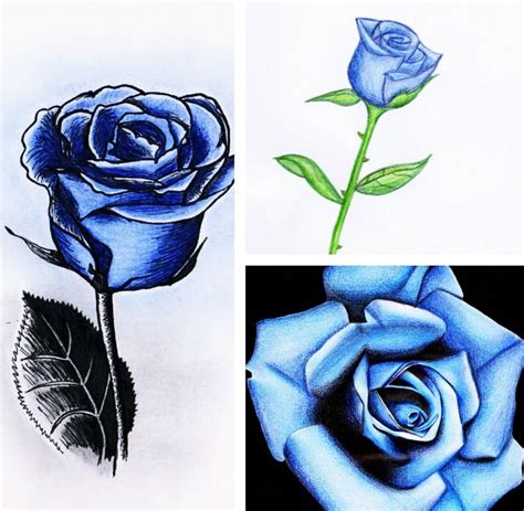 1001 Modèles Et Conseils Pour Apprendre Comment Dessiner Une Rose Comment Dessiner Une Rose