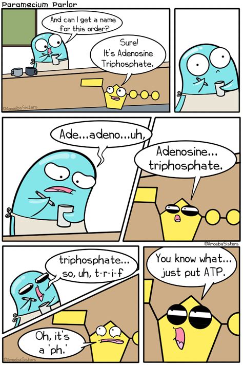 paramecium parlor comics science with the amoeba sisters science comics science cartoons