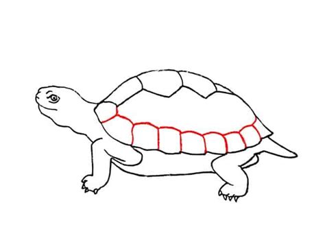 How To Draw A Tortoise Step By Step Part 3 Easy Animals 2 Draw