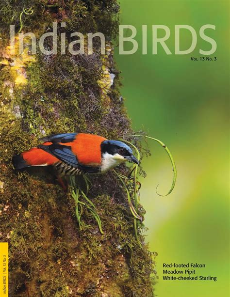 Indian Birds Magazine Get Your Digital Subscription