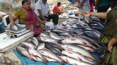 Live Indian Fish Market 2019 2019 Fish Market Fisherman Youtube