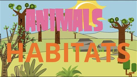 Animals Habitats Youtube