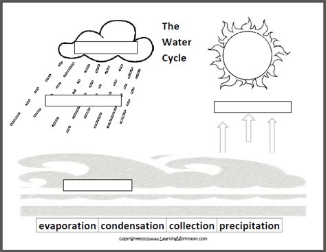 Simple Water Cycle Diagram To Label Images And Pictures Becuo