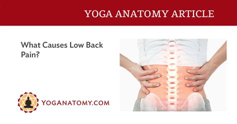 What Causes Low Back Pain Yoganatomy