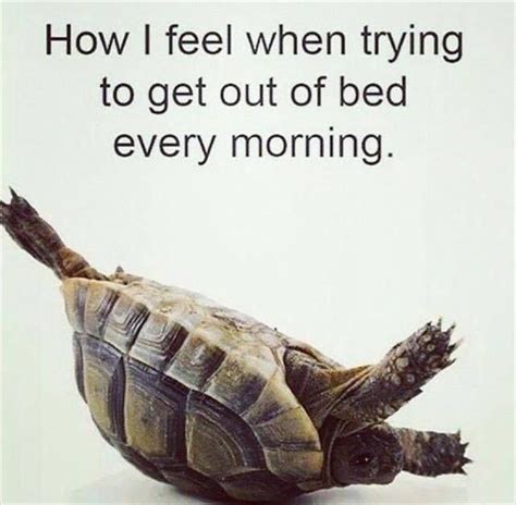 How I Feel When Trying To Get Out Of Bed Every Morning Picture Quotes