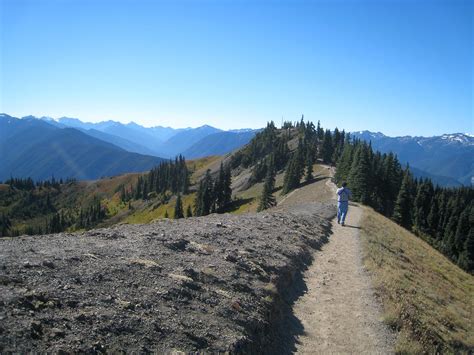 Descent From Sunrise Point Hurricane Ridge Olympic Nation Flickr