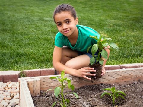 Girl Planting Plant In Garden Agriculture Goods