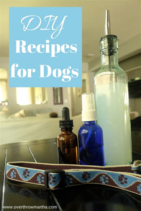 6 Easy Diy Recipes For Dogs Flea Collar Shampoo Hot Spot Joint