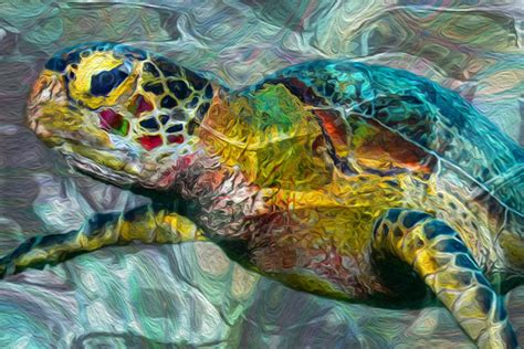 Tropical Sea Turtle Painting By Jack Zulli Fine Art America