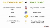Sauvignon Blanc vs Pinot Grigio: Which One Should You Choose?