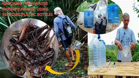 Catching Freshwater Shrimp Uwang Using Recycled Plastic Bottles