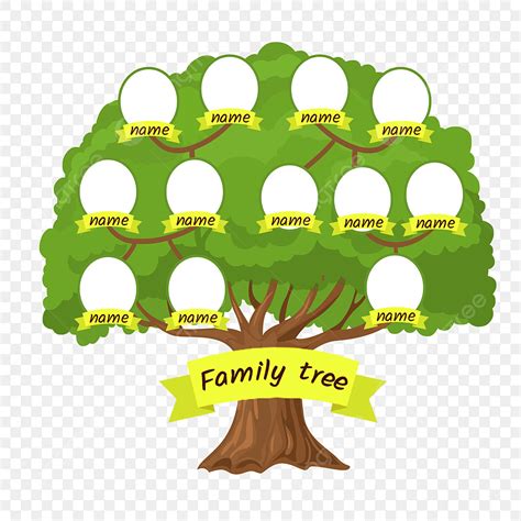Dibujado A Mano Verde árbol Grande árbol Genealógico Relación Familiar