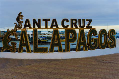Out of all the inhabited islands in the galapagos, santa cruz island is by far the most developed one, visited by almost every traveler making their way to this part of the world. The BEST Things to do in Santa Cruz and Puerto Ayora | Zen Travellers