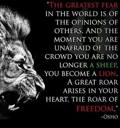 Lion Lion Quotes Osho Quotes Daily Quotes Inspirational Quotes