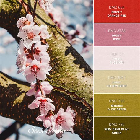 Cherry Blossom Embroidery Color Palette With Thread Codes