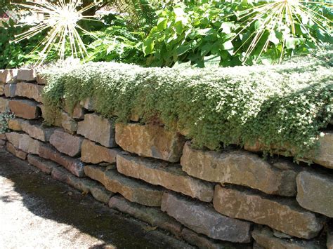 A mixture of three colors look more build structures out of river stone that can be both decorative and functional at river rock landscaping. Bluleaf Gardens and Health | Landscaping with rocks, River ...