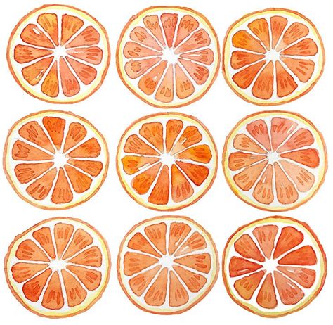 Orange Slice Drawing Easy