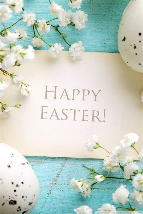 We offer an extraordinary number of hd images that will instantly freshen up your smartphone or computer. 30 Cute Easter iPhone Wallpapers - Available Ideas
