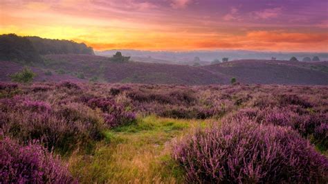 10 Most Beautiful National Parks In The Netherlands Maps And Video