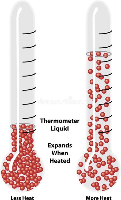 Thermal Expansion Of Liquids Stock Photo Illustration Of Ethanol