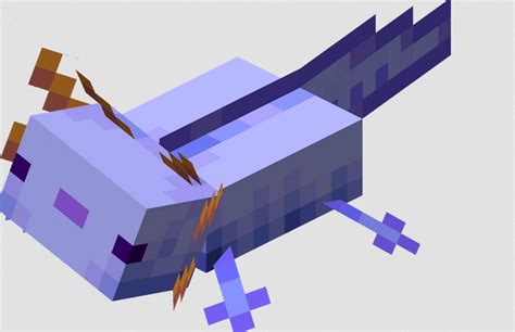 How To Summon Blue Axolotl In Minecraft Olgamer