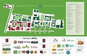 Tulane Uptown Campus Map – Map Vector