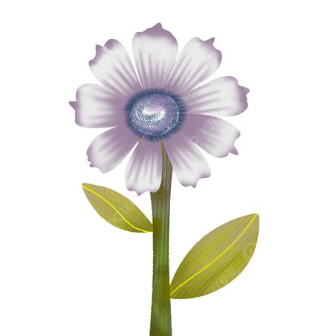 Gambar Png Bunga Bunga Bunga Floral Bunga Png Transparan Clipart Dan File Psd Untuk Unduh Gratis