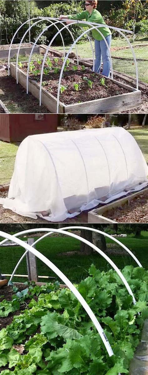 Diy pvc pipe 300 square foot greenhouse: 42 Best DIY Greenhouses ( with Great Tutorials and Plans! ) - A Piece of Rainbow