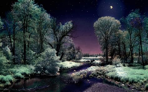 Download Sky River Tree Snow Night Moon Artistic Winter Hd Wallpaper