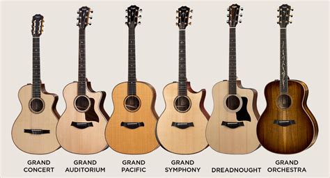 Taylor Guitar Numbering System Takeoutmoms