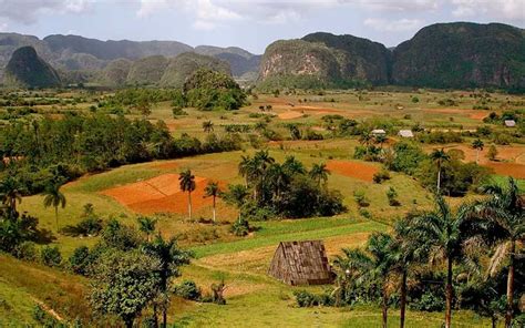 Jun 24, 2021 · vinales has gone through numerous tough phases since joining yamaha in 2017, with the team swapping his crew chief out twice in the last five years in a bid to help him. Viñales Valley - Cuba Travel and Vacations
