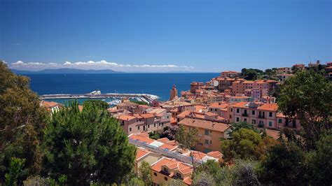 Via elba, through the public services portal, on the website of rosstat. Rio Marina | Elba Island | Information on Rio Marina