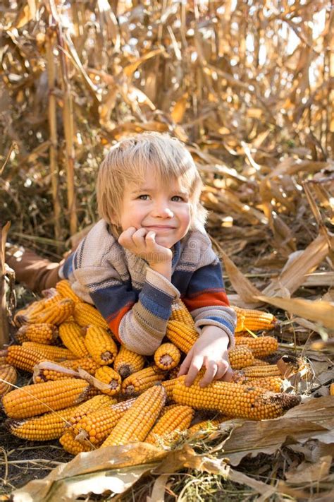 Cute Joyful 5 6 Year Old Blond Boy Lies On The Field Among Dry Autumn