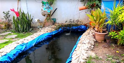 Building your own koi fish pond in your avoid overfeeding the koi and overstocking the pond, and change the water gradually if necessary. 5 Actions To a Perfect Koi Fish Pond | Dexter's World