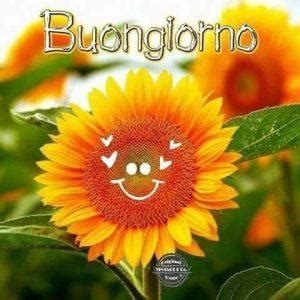 Ver todas las opiniones de 22. Immagini del Buongiorno