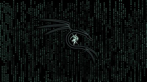 Kali Linux 8k Wallpaper