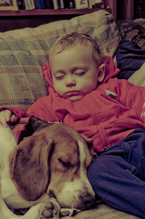 15 Adorable Photos Of Dogs And Babies Cuddling Nap Time On The Couch