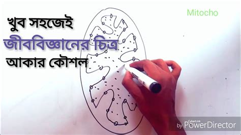 Easy step by step animal drawing tutorials for kids and beginners. How To Draw Biology Diagram Early | SSC Biology Class 9 ...