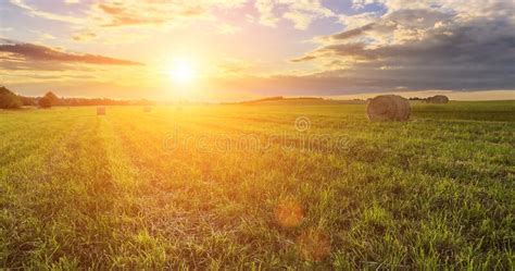 Field With A Haystacks On Sunset Or Sunrise Stock Image Image Of
