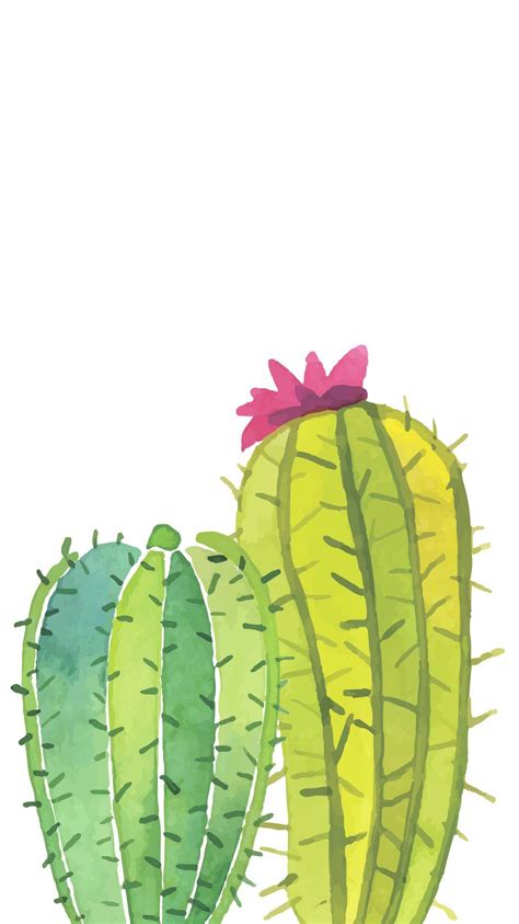 22 Amazing Cactus Cartoon Wallpapers Wallpaper Box