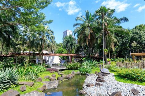 Garden View At Greenbelt Shopping Mall In Makati City Metro Manila