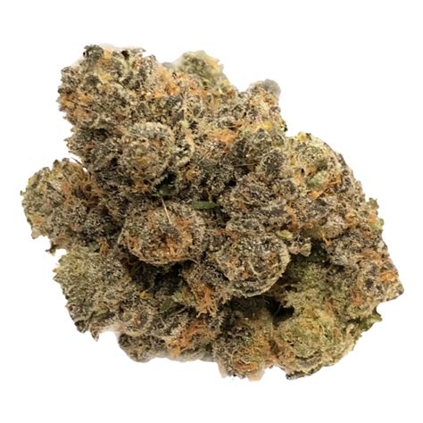 [top shelf] pink panties indica