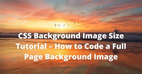 45 How To Apply Image As Background In Css Png Hutomo