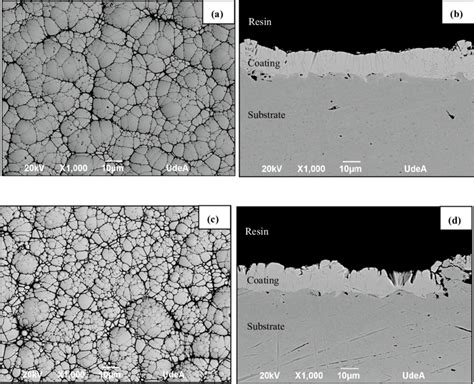 Morphology And Cross Section Of Ni B Electroless Coating Without Heat