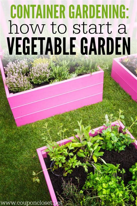 Container Gardening How To Start A Vegetable Garden