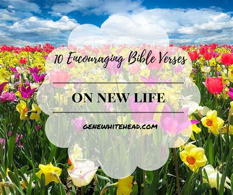 Searching for powerful and inspiring bible verses about life and living life to the fullest? 10 Encouraging Bible Verses on New Life • Gene S. Whitehead