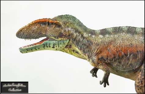 Carcharodontosaurus Gr Toys 2021 Paleo Nerd