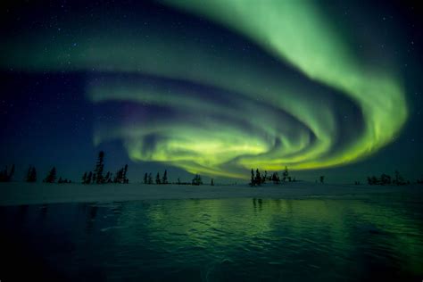 Aurora Borealis Arctic Wildlife Photography Polar Bear Images